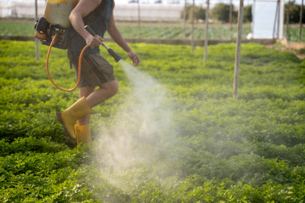 Best Pest Control for Businesses  in Hallam, PA