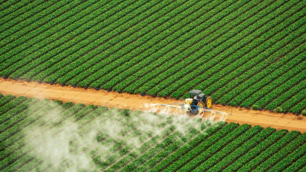 Best Mosquito Control Services  in Hallam, PA