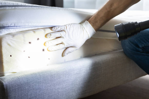 Best Insect Control  in Hallam, PA