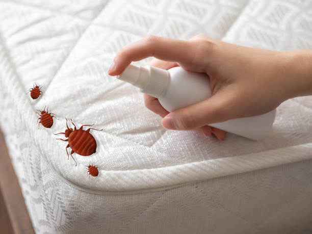 Best Local Pest Control Services  in Hallam, PA