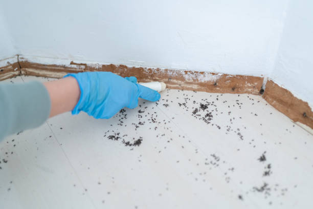 Best Residential Pest Control  in Hallam, PA